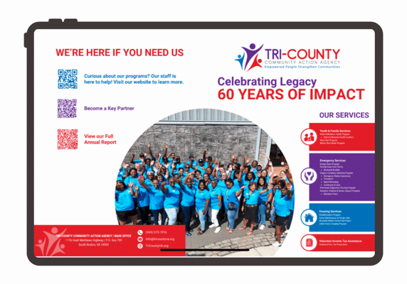 Nonprofit Infographic